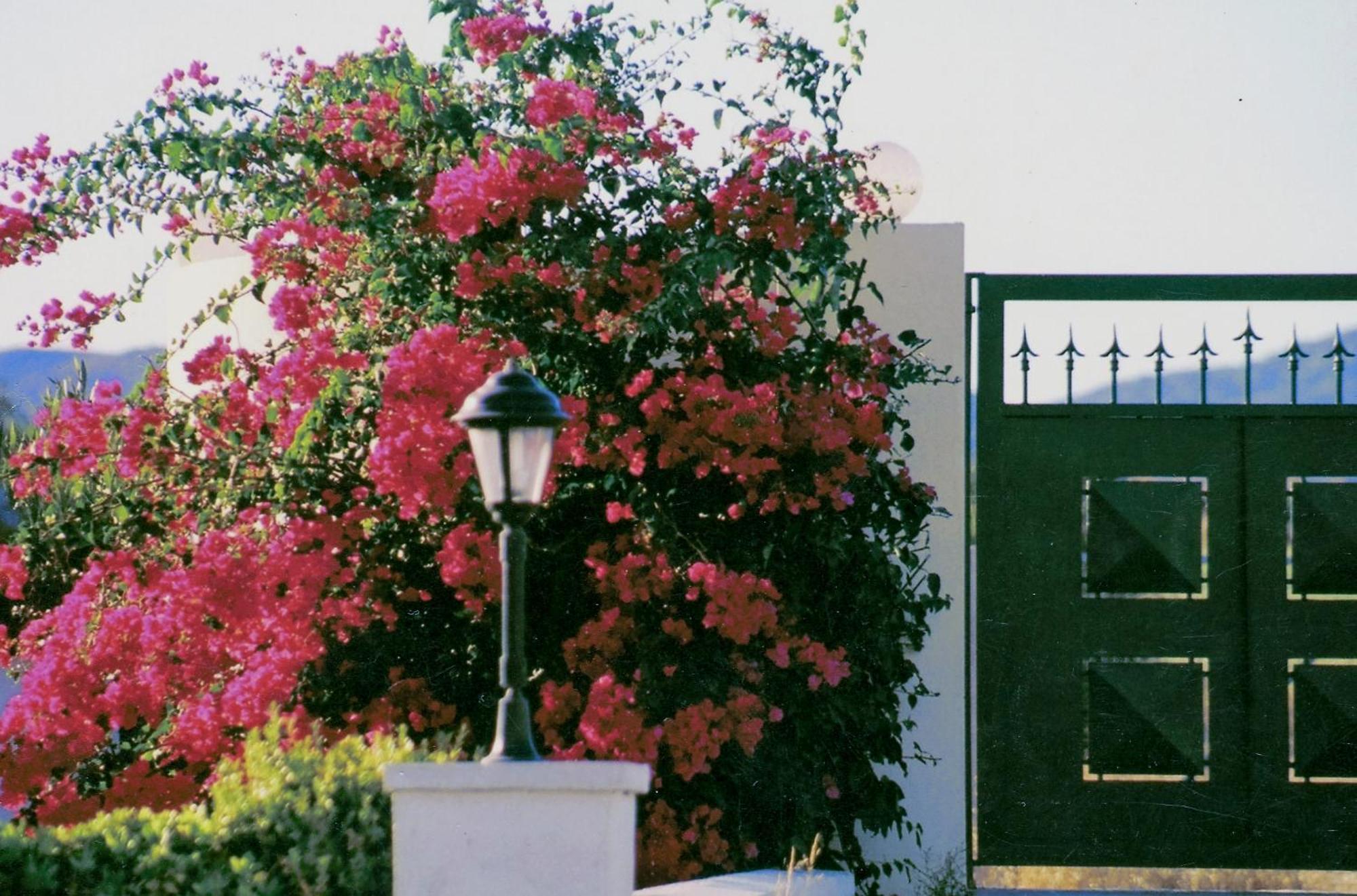 Beachfront Villa Rhodes Seashell Gennadi Exterior photo